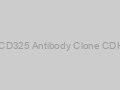 Anti-N-Cadherin/ Cadherin-2/ CD325 Antibody Clone CDH2/1573, Unconjugated-100ug
